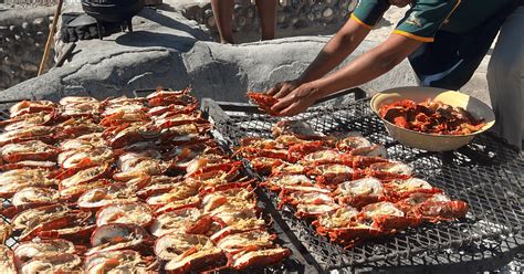  Die Strandloper: Een Unieke Kulinarikke Reis Langs de Wilde Kust van Cape Town!